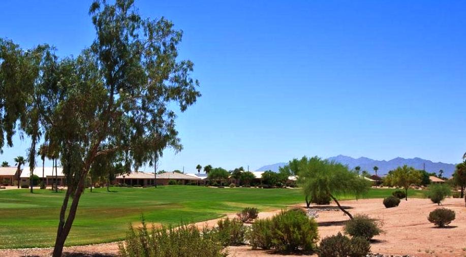 Homes for Sale on the Golf Course in Goodyear, AZ