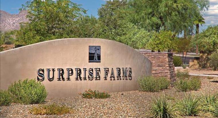 Homes for Sale in Surprise Farms - Surprise, Arizona
